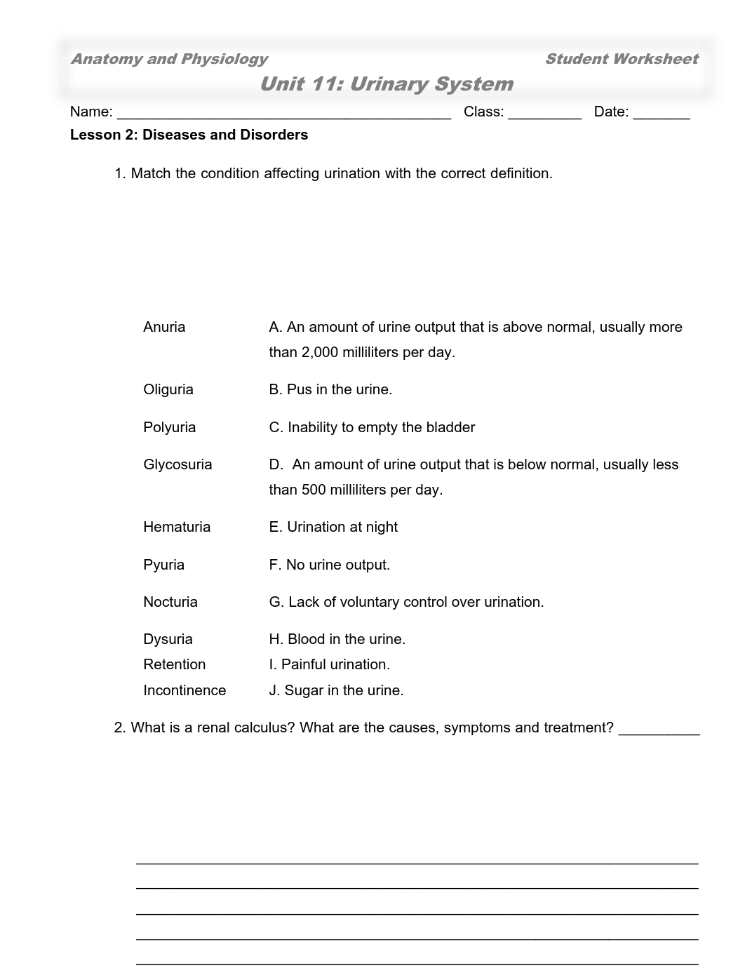 Urinary System Worksheet.pdf_dxw0n1k9jfz_page3