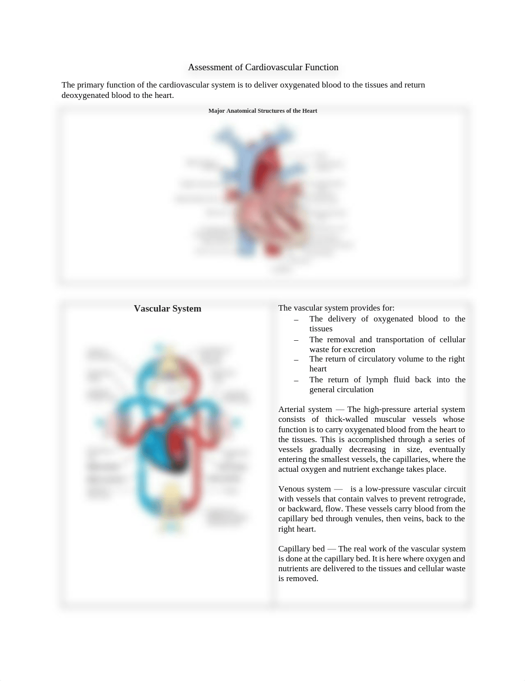 Chapter 25 Med-Surg Study Guide.pdf_dxw5kot01v4_page1