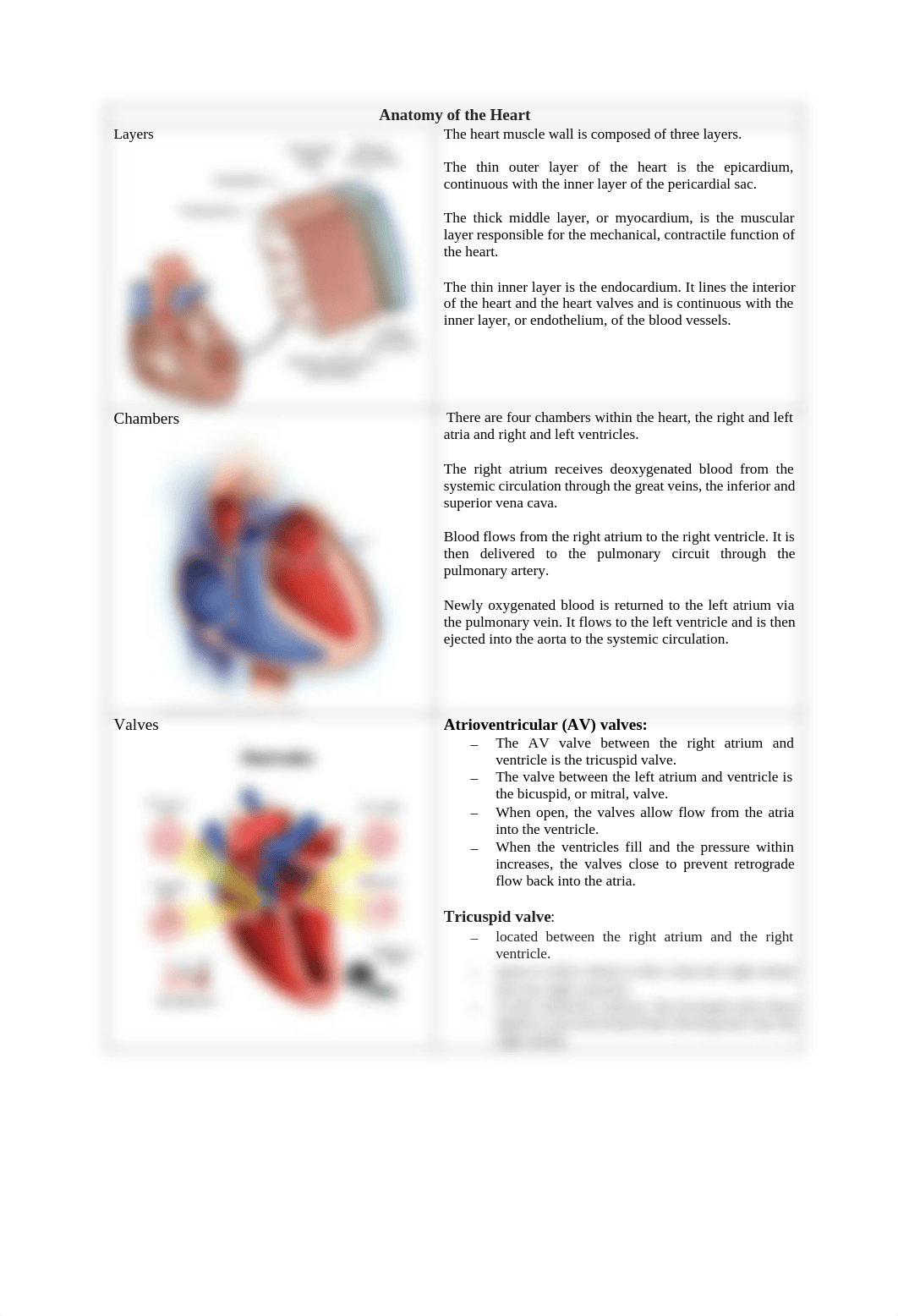 Chapter 25 Med-Surg Study Guide.pdf_dxw5kot01v4_page2