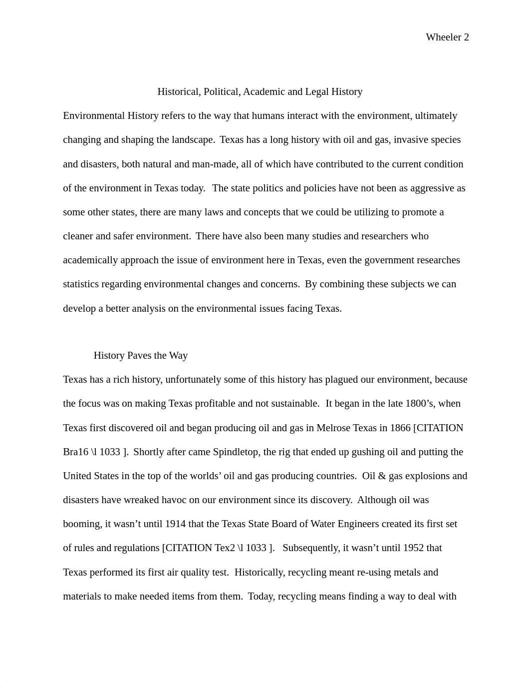 Environmental Issues in the State of Texas -Alysa Wheeler.docx_dxwaxmh4jc6_page3