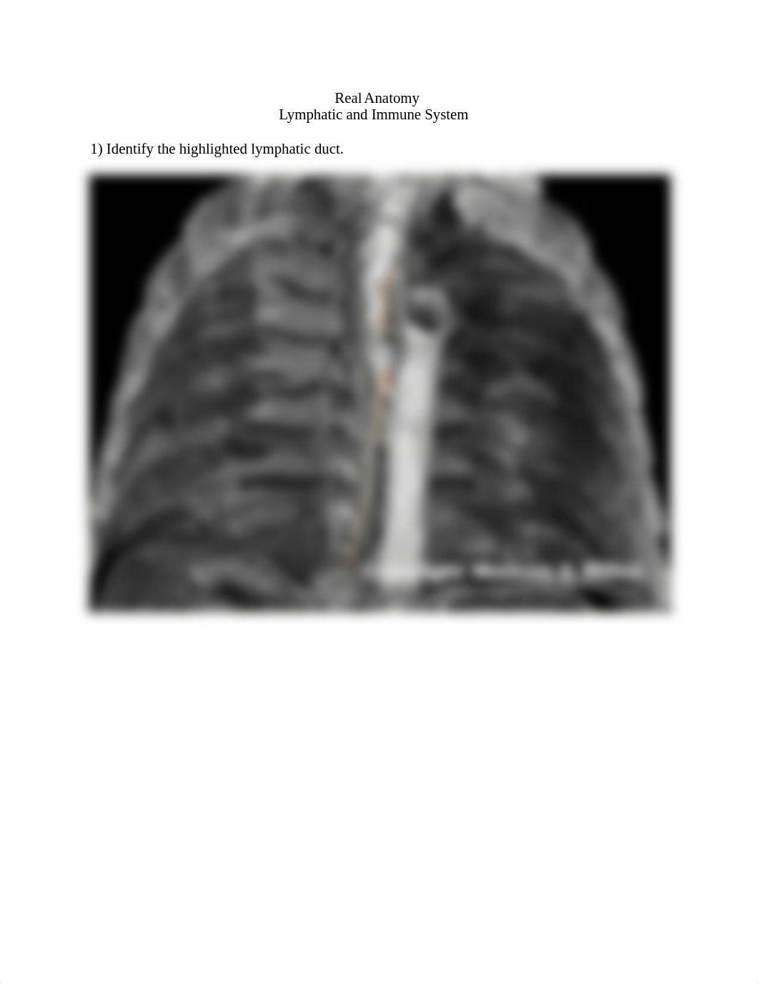 REAL_ANATOMY_LAB_05_lymphatic_and_immune_system.docx_dxwb1reah1s_page1