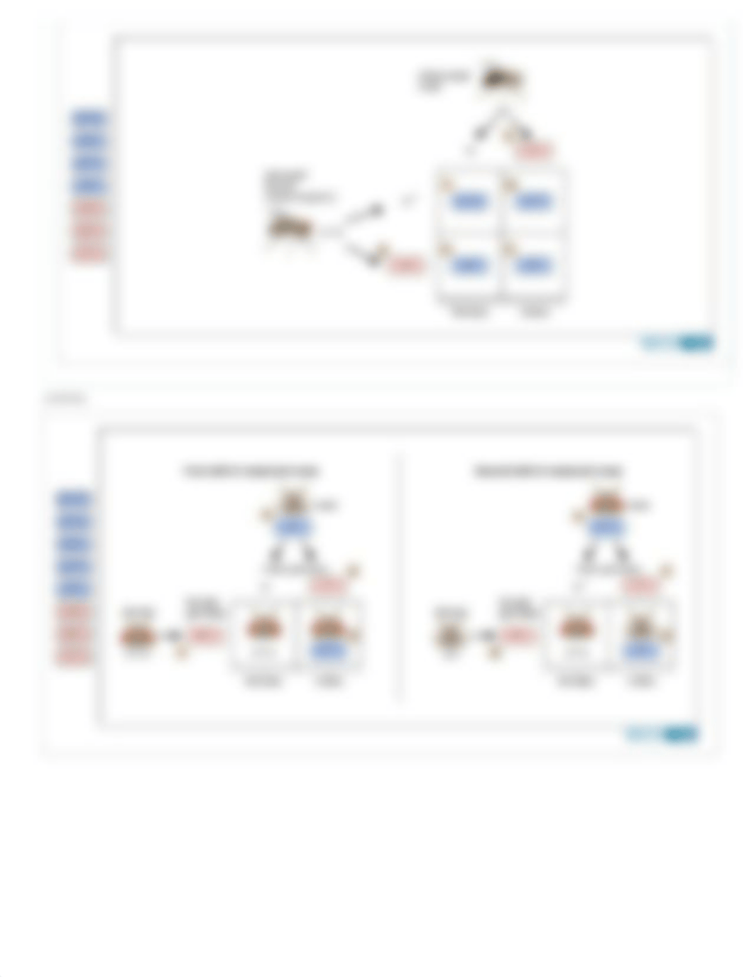 Foundational MB 9 - Chapter 15_dxwb2w3eyk9_page3