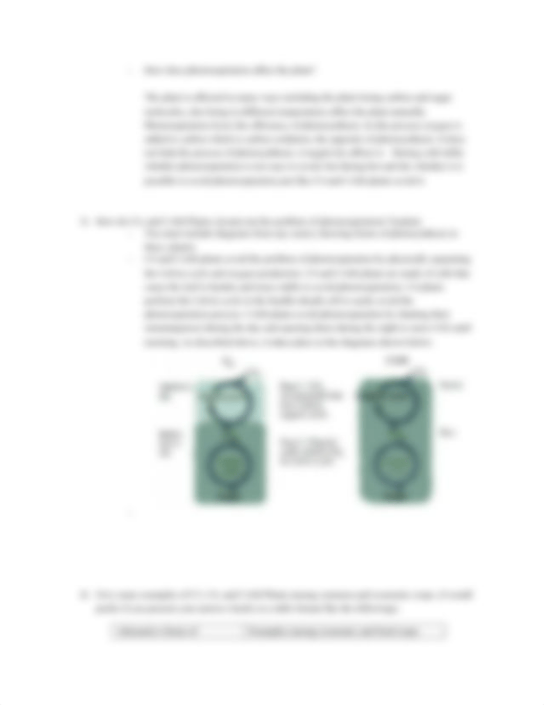 BIO 101 Forms of Photosynthesis.docx_dxwi0p06rje_page2