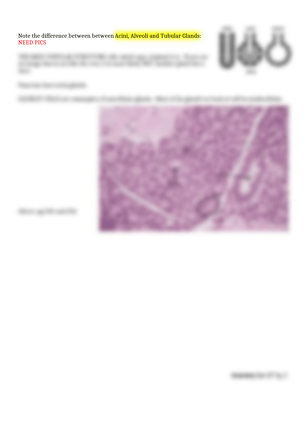 Lecture 17 HISTOLOGY of GLANDS LIVER_dxwlbq6mt7x_page2