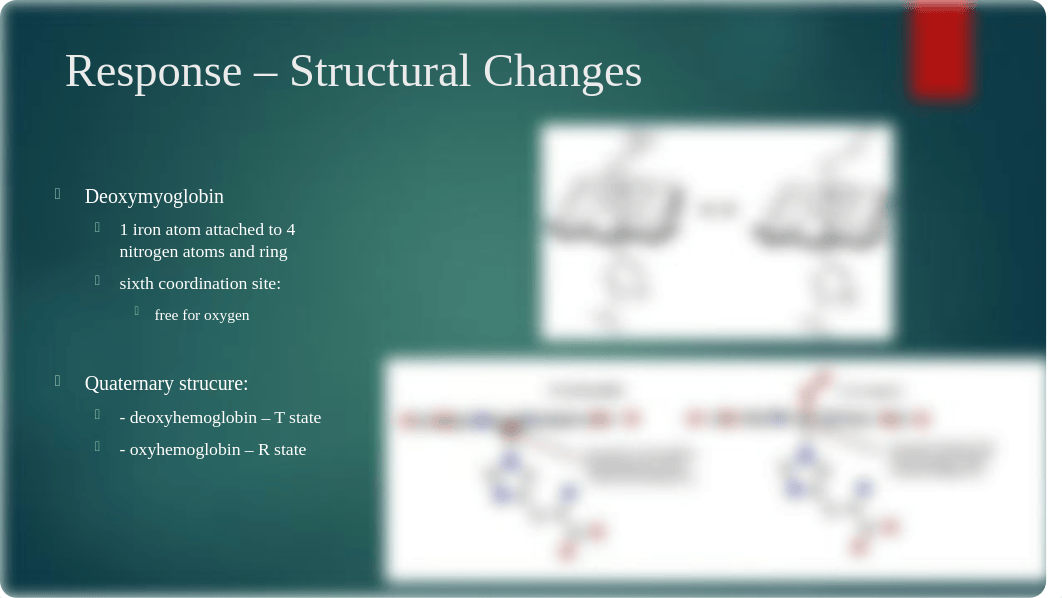 Group Advanced Concepts Hemoglobin.pptx_dxwqq1f9t44_page4