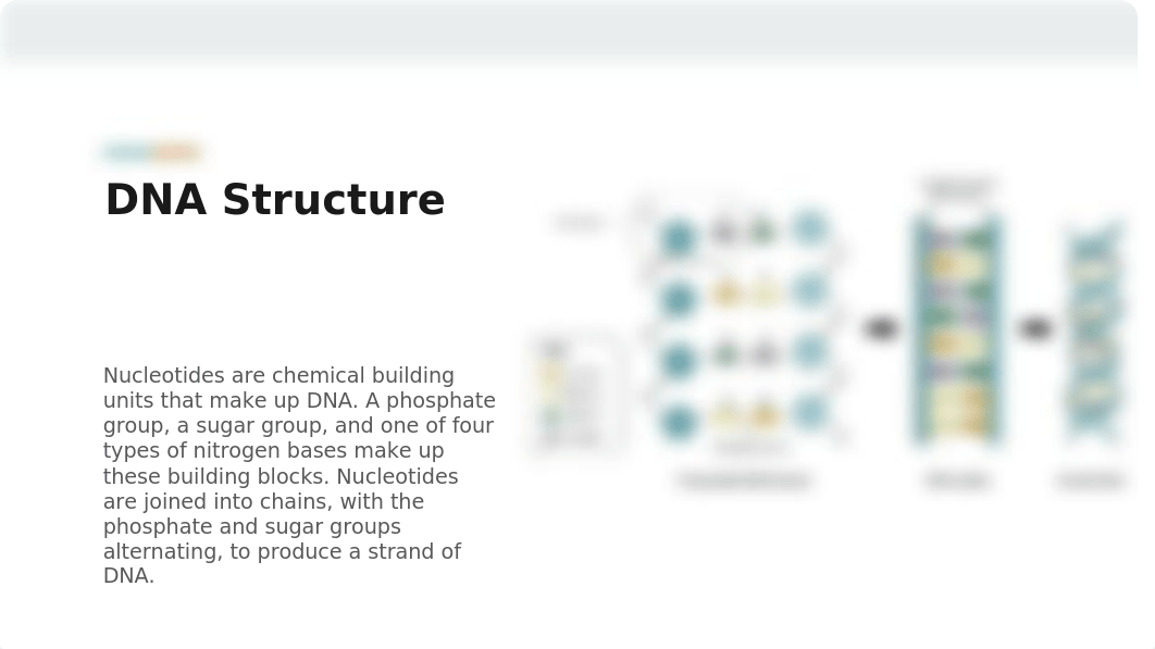 Project_ Creating a DNA Digital Gallery.pptx_dxws4h7urc9_page3