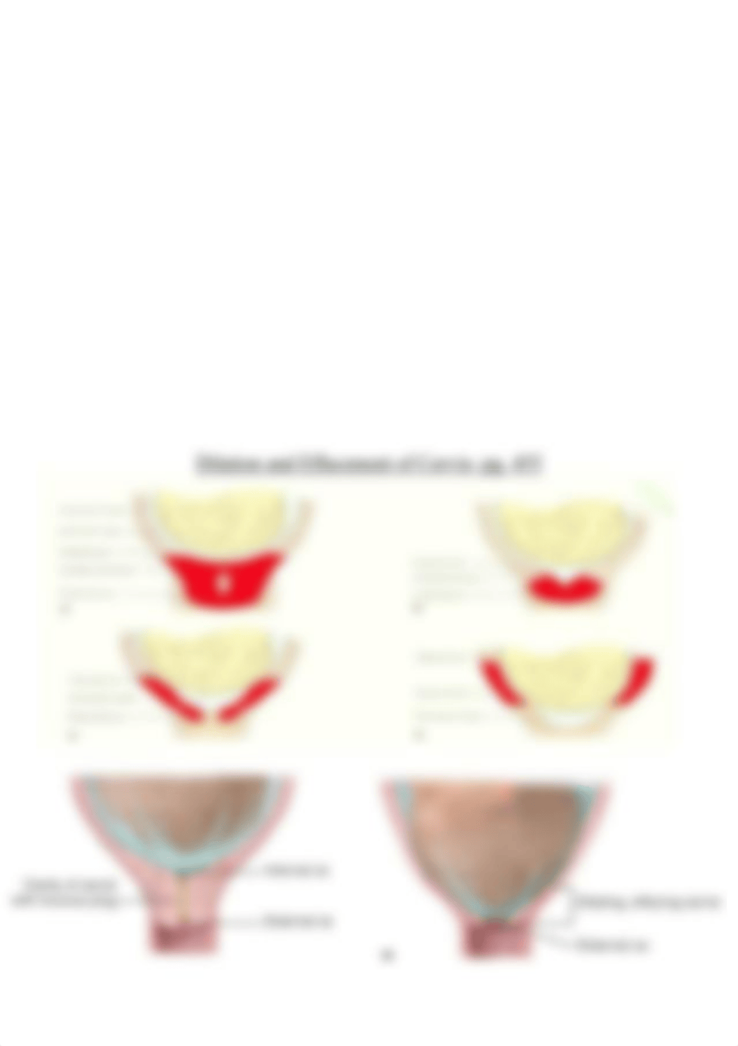 N330 Clinical Orientation Intrapartum Assessment.docx_dxx5obc1412_page3