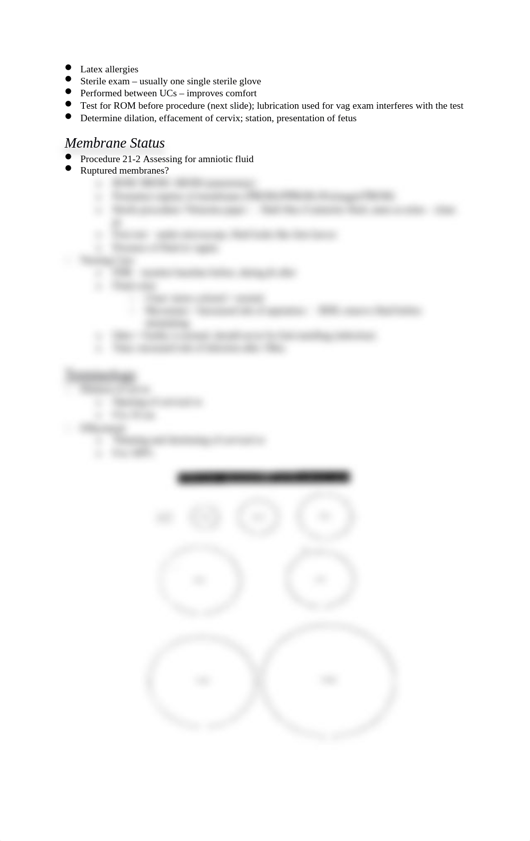 N330 Clinical Orientation Intrapartum Assessment.docx_dxx5obc1412_page2