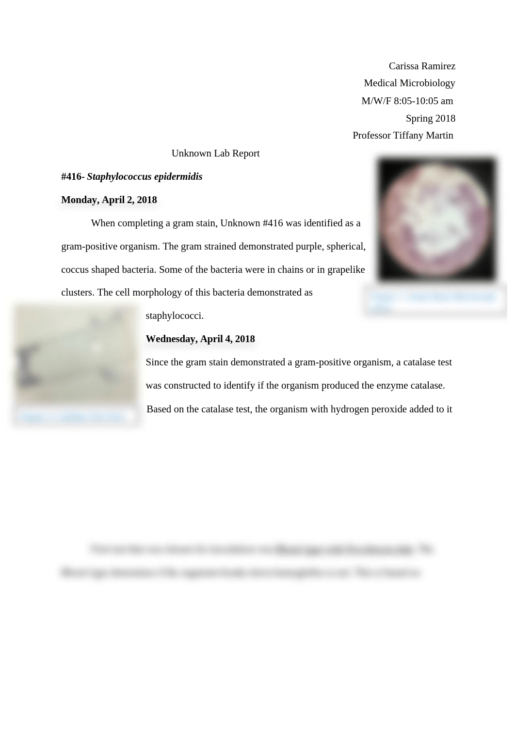 Unknown Lab Report #1.docx_dxx5xja2i42_page1