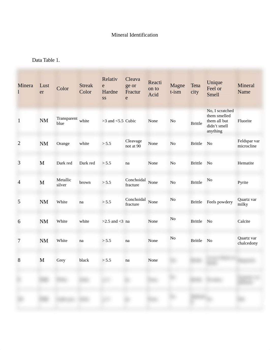 Mineral Identification.docx_dxx6gs4tykm_page1