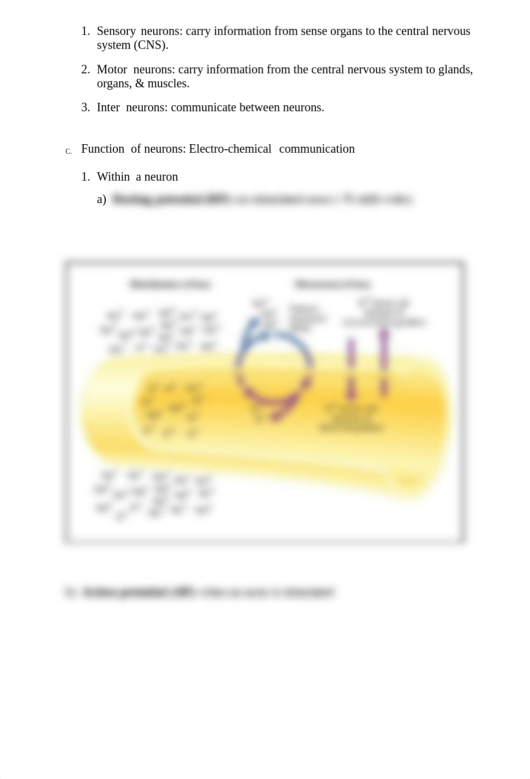 Outline Biological Basis of Behavior_dxxlhjq814n_page2