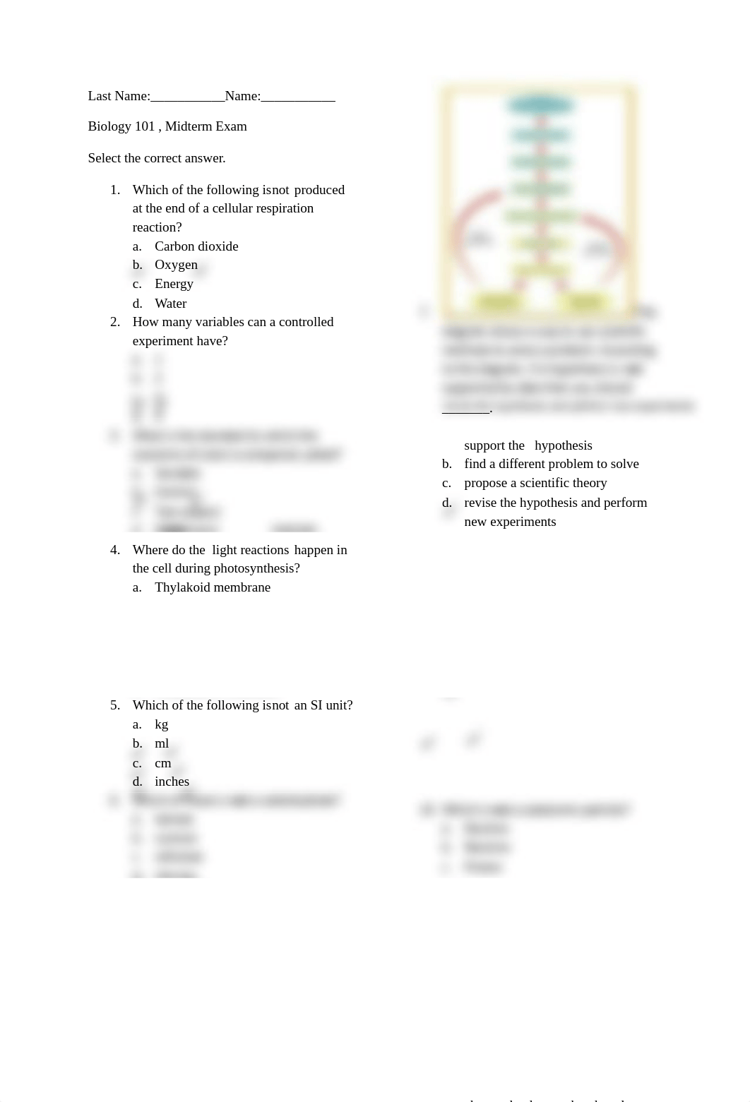 Midterm Exam(HASAn)_dxxnq0jv1bb_page1