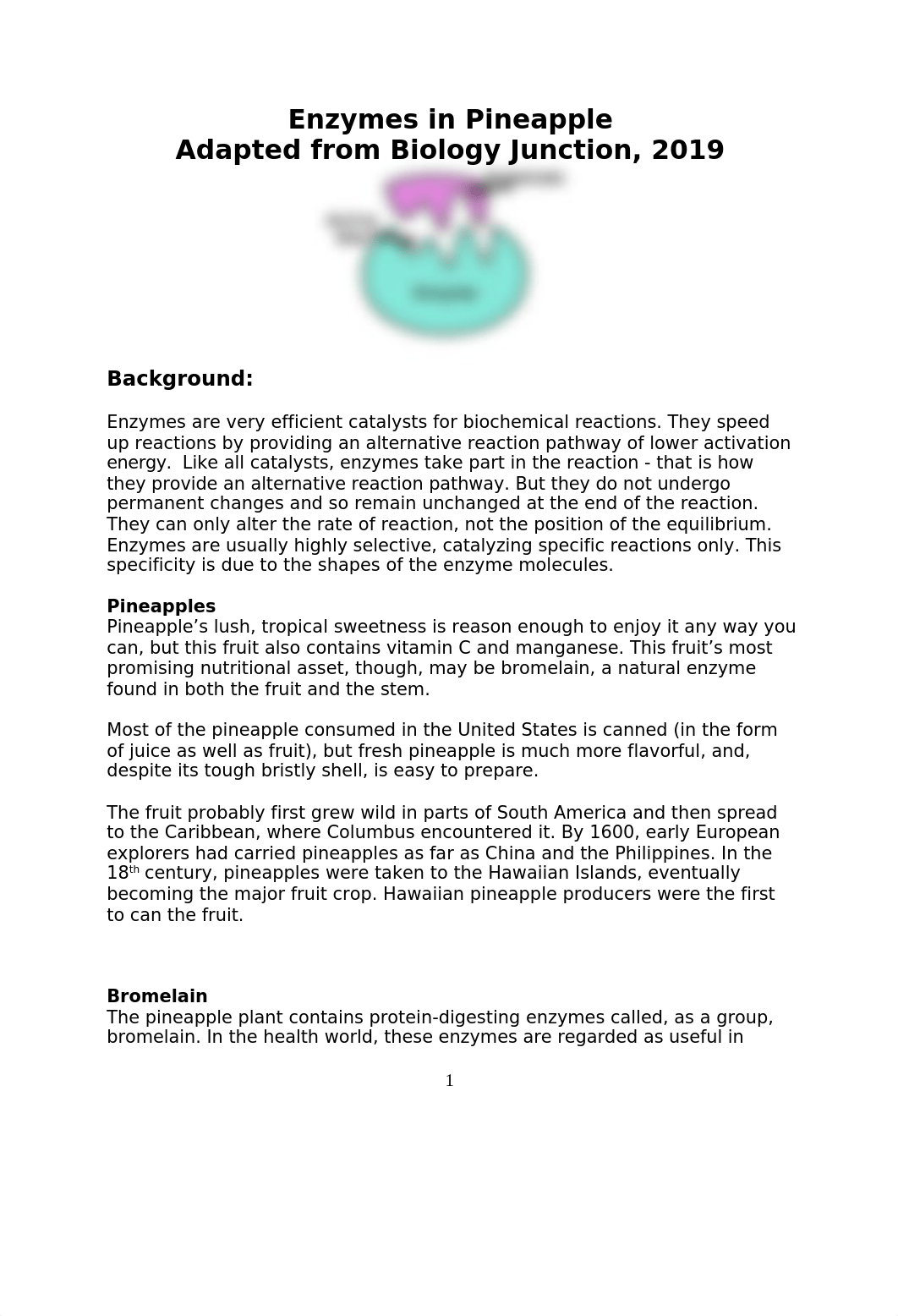 Pineapple Enzyme Lab.doc_dxxsoj350il_page1