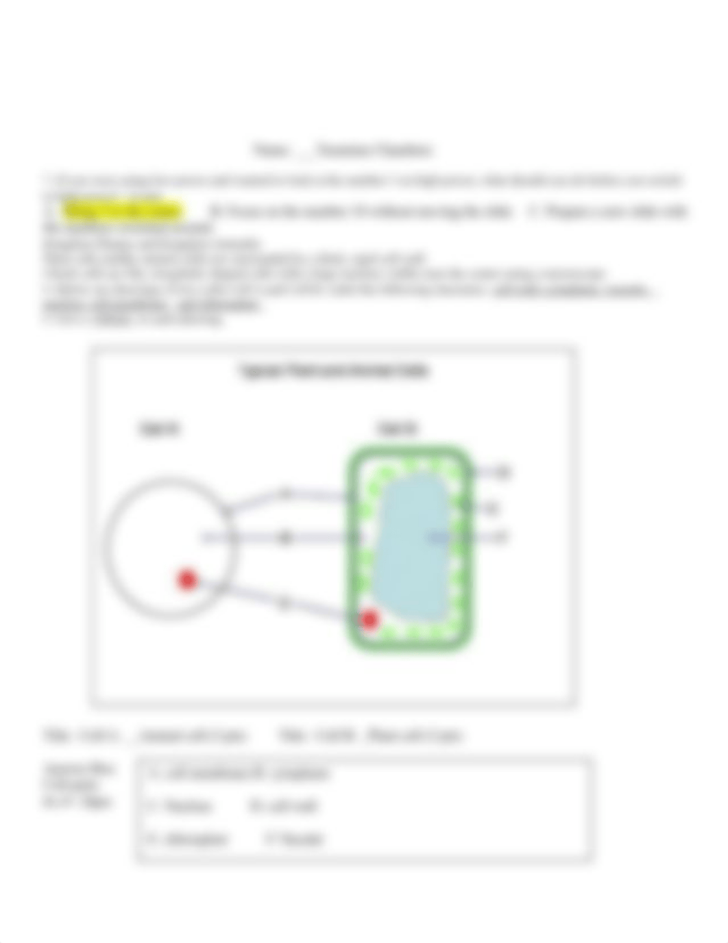 ONLINE LAB 4 Microscope and Cell Survey FALL 2020 copy.doc_dxxtlod55zz_page3