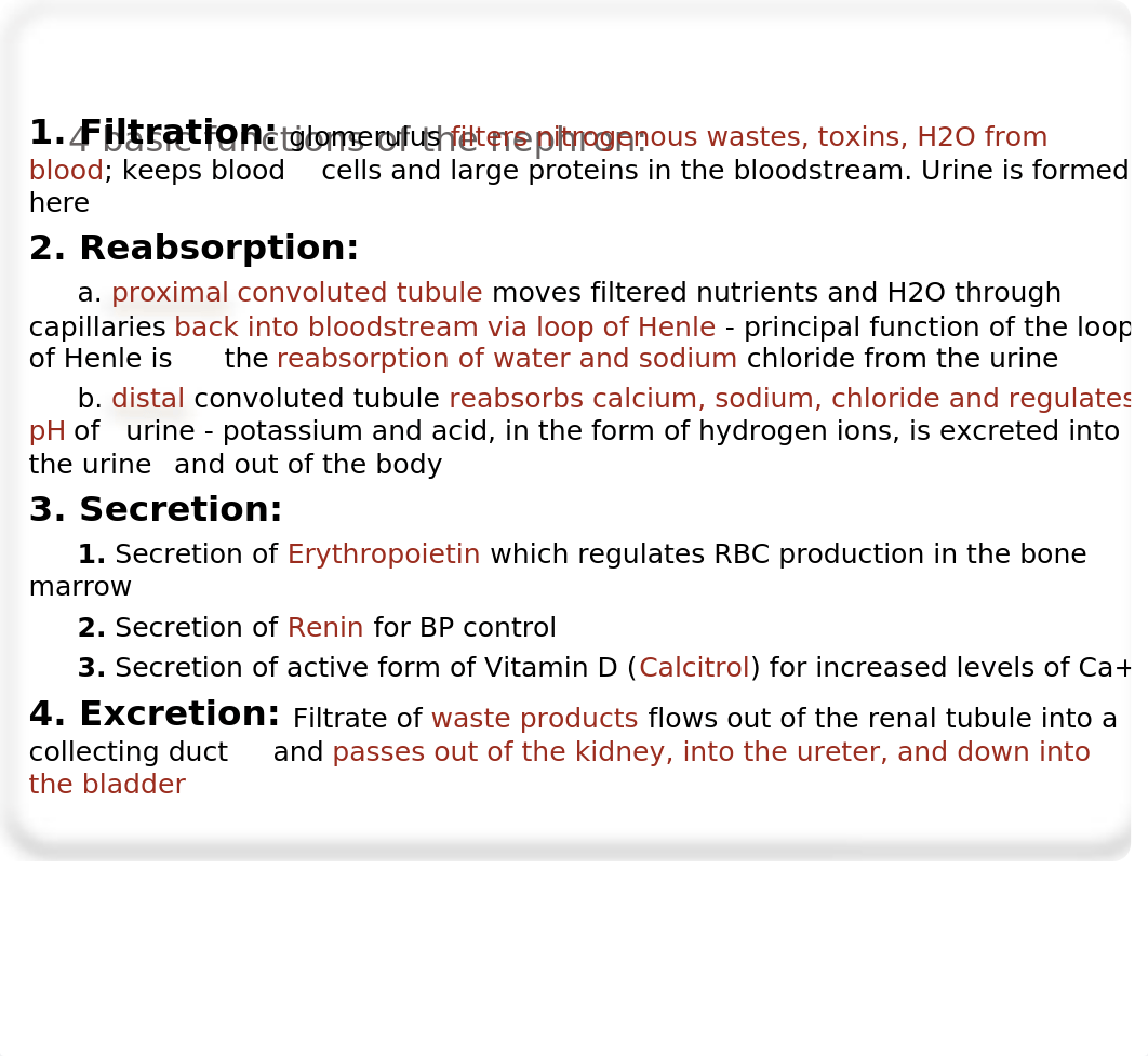 NUR 107 Urinary elimination.pptx_dxy10afczp0_page5