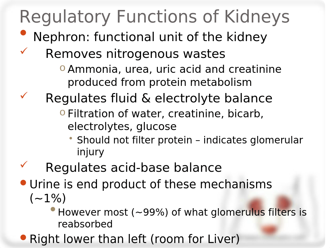 NUR 107 Urinary elimination.pptx_dxy10afczp0_page4