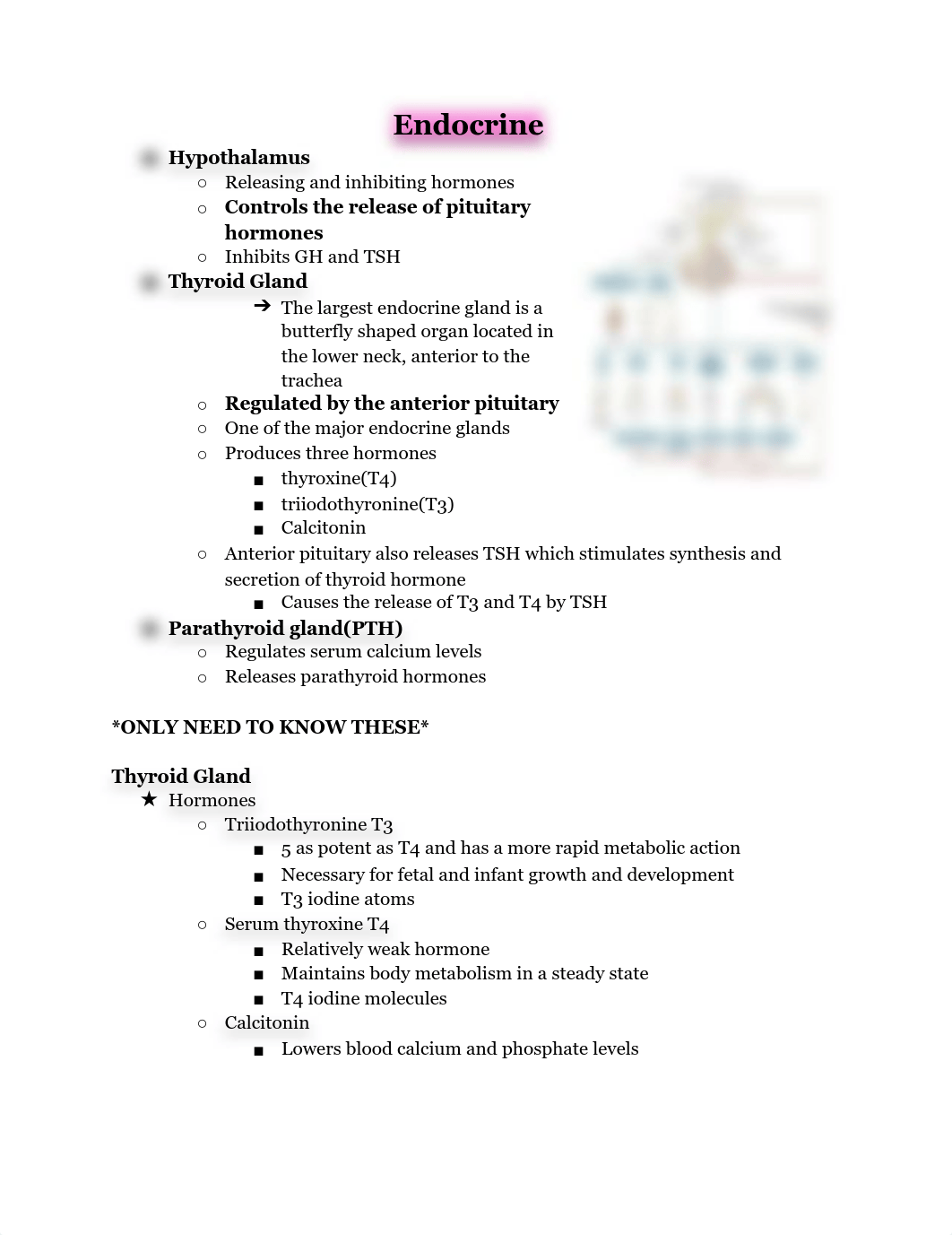 Endocrine-2.pdf_dxy7nd5yvoy_page1