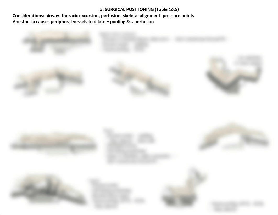 5. worksheet surgical positioning.docx_dxy889pnz53_page1