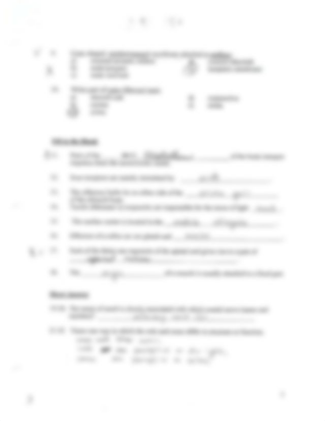 Lab Exam 3.pdf_dxym82wibf9_page3