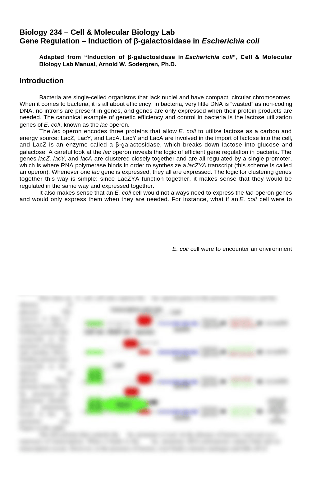 Lab 4 Protocol.doc_dxynaeoyfse_page1