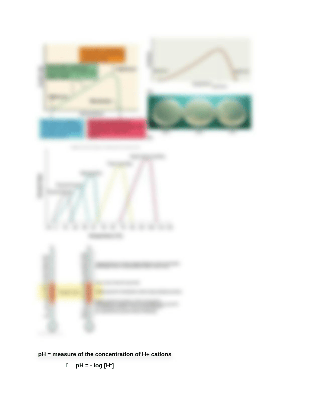 Micro lab 2 test.docx_dxythlw0krp_page2