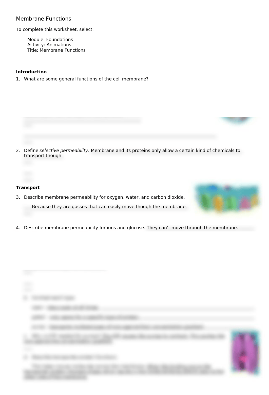 membrane functions 3 - Copy.doc_dxyvpxmyizs_page1