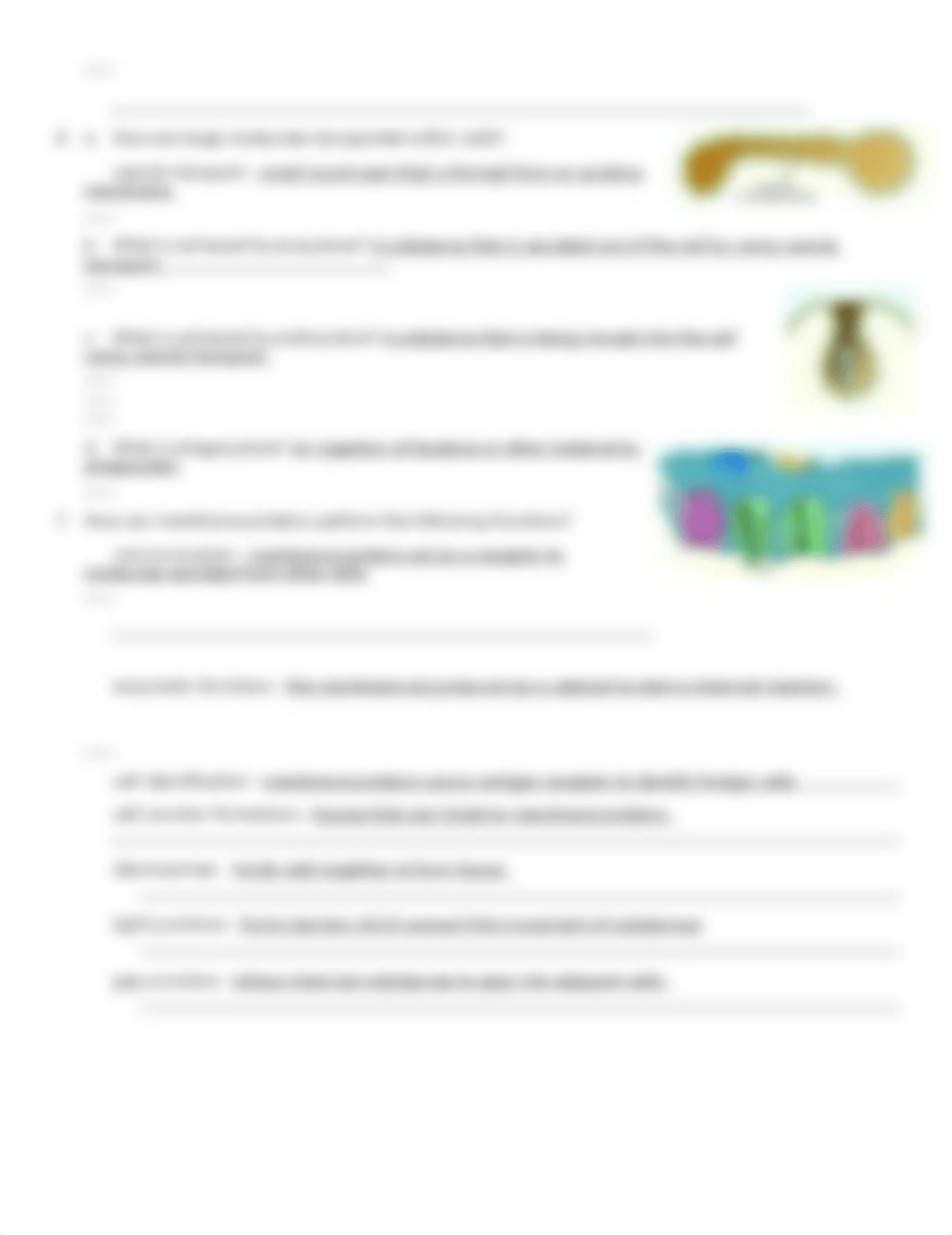 membrane functions 3 - Copy.doc_dxyvpxmyizs_page2