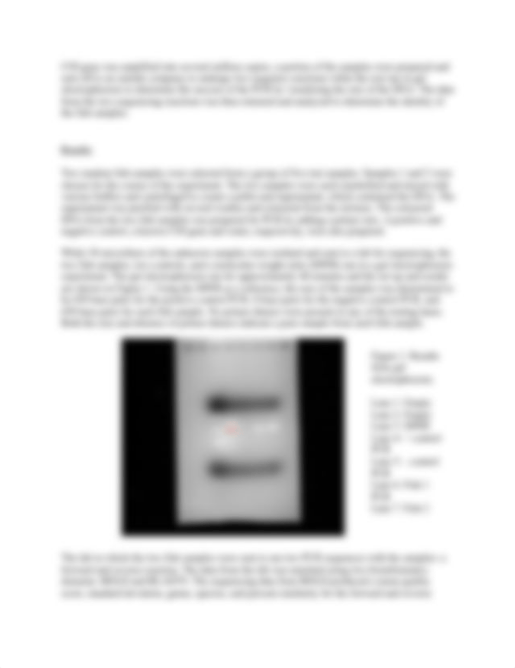 DNA Barcoding Lab Report.docx_dxywhphi4tw_page2