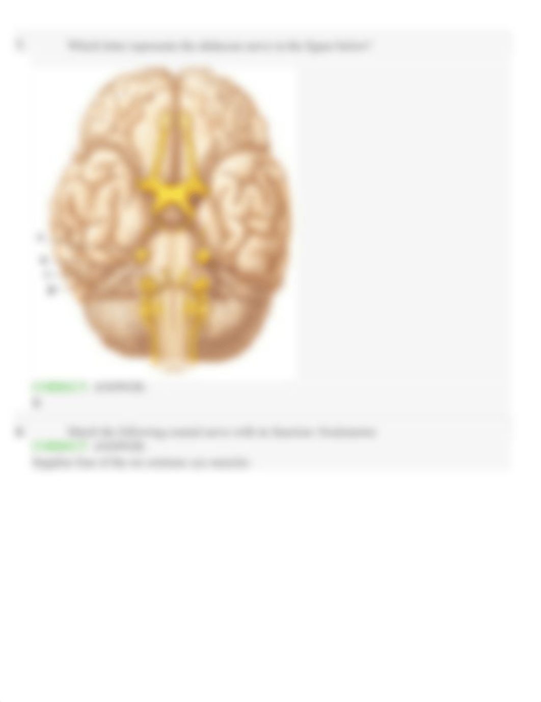 Ch. 13 Module 2 Section 13.04 Dynamic Study Module.docx_dxyxd75da6v_page4