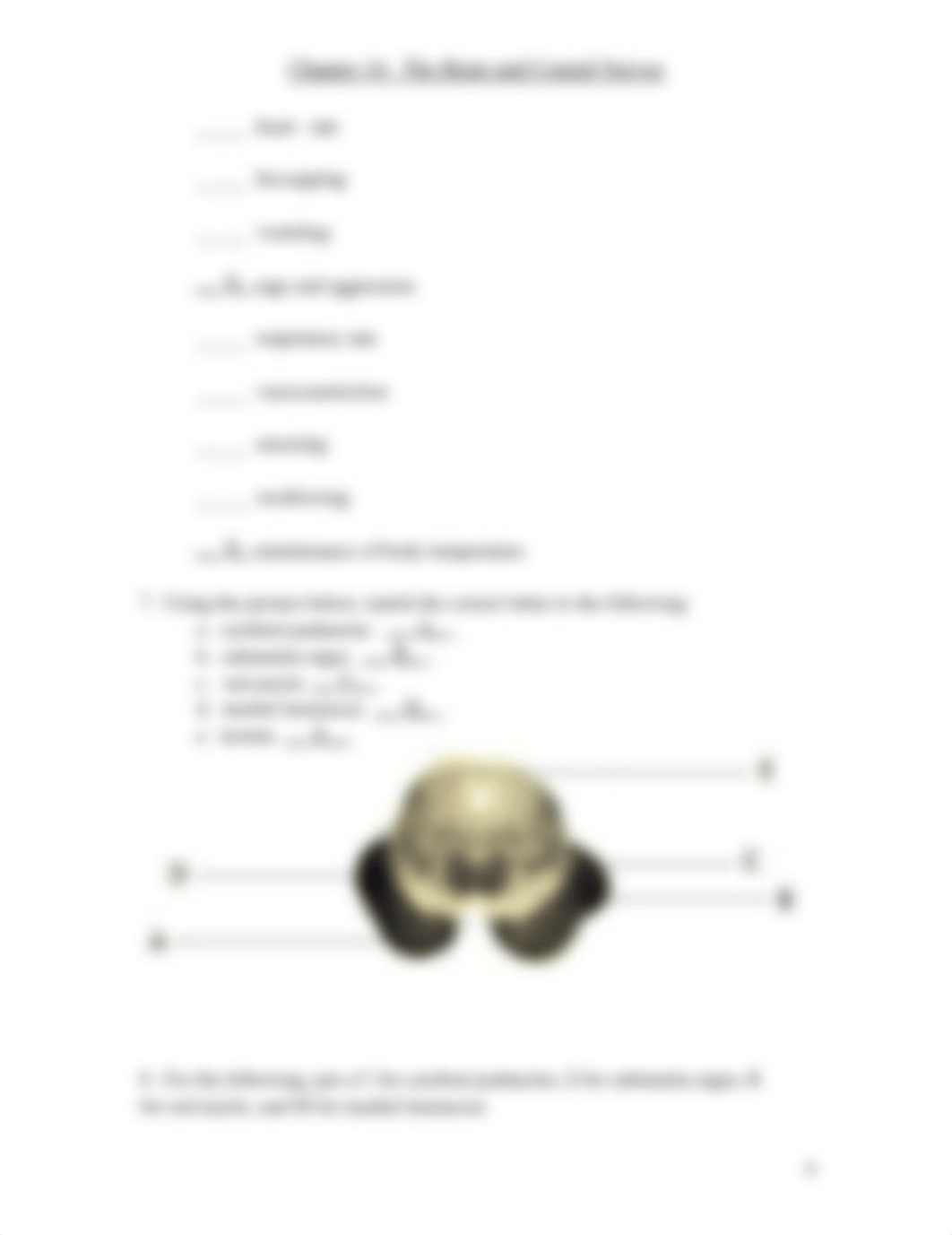 Chapter 14 Brain and Cranial Nerves Lab.docx_dxz4c0u5f32_page5