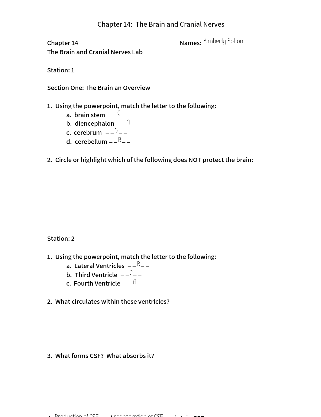 Chapter 14 Brain and Cranial Nerves Lab.docx_dxz4c0u5f32_page1