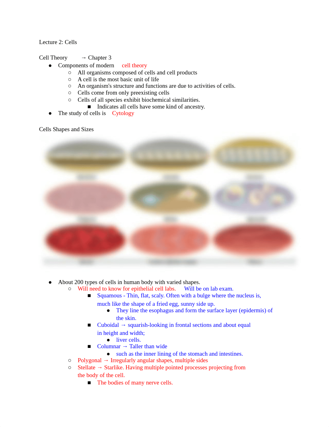 Lecture 2_ Cells.docx_dxz6ebjnbwh_page1