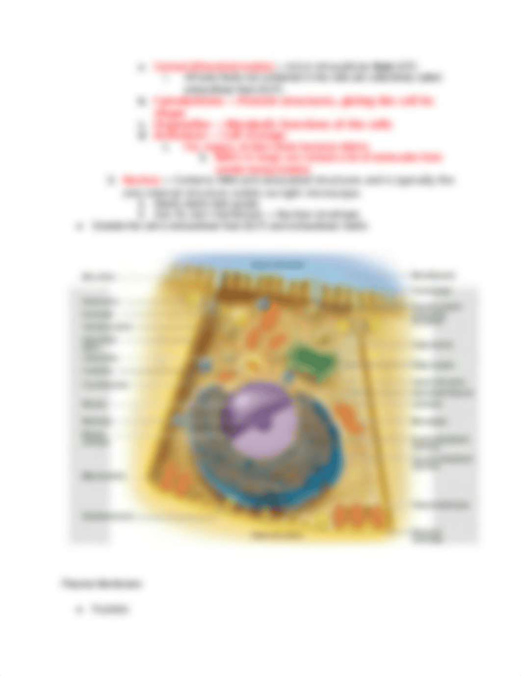 Lecture 2_ Cells.docx_dxz6ebjnbwh_page3