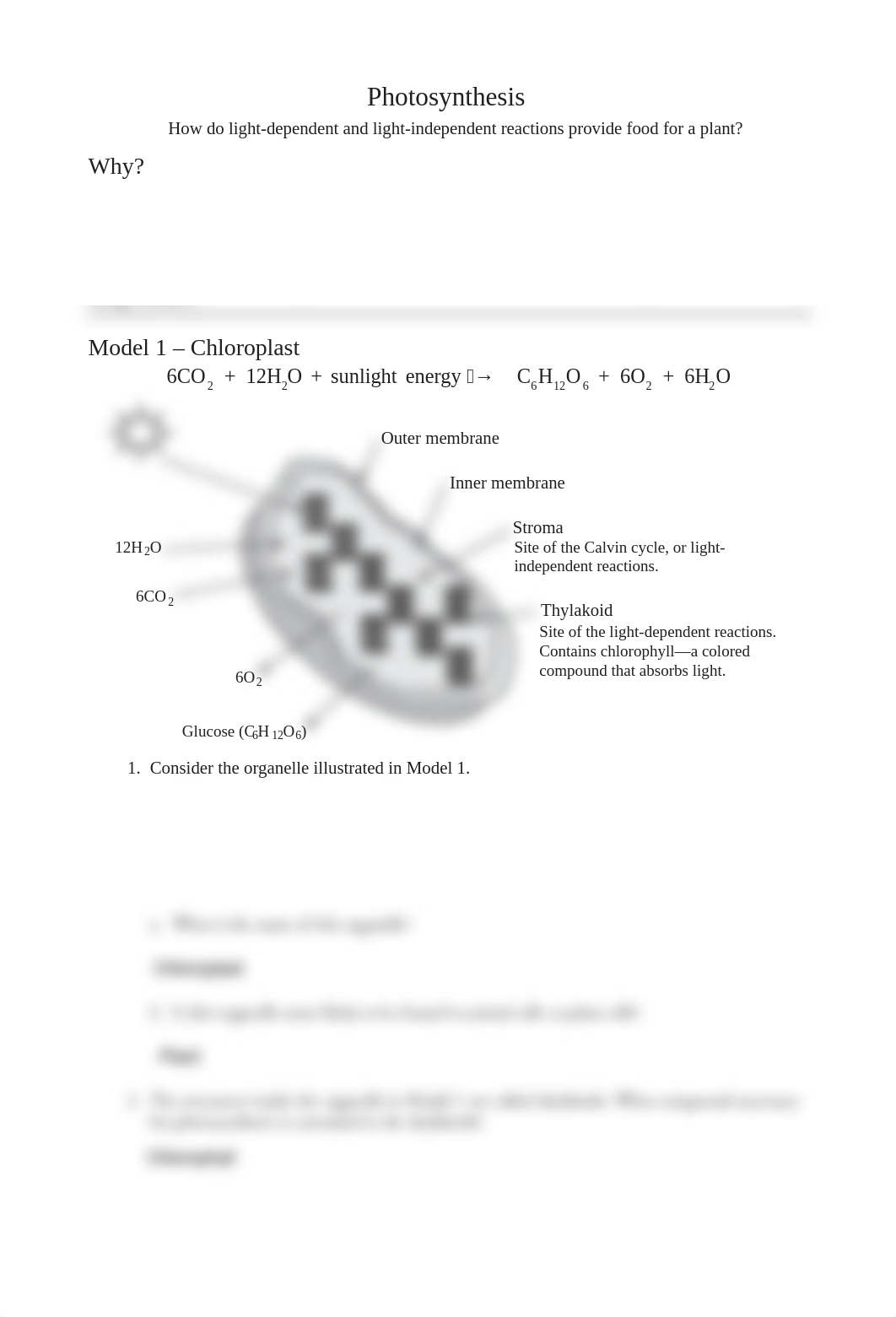 Photosynthesis_POGIL done.pdf_dxz7n3q7soq_page1