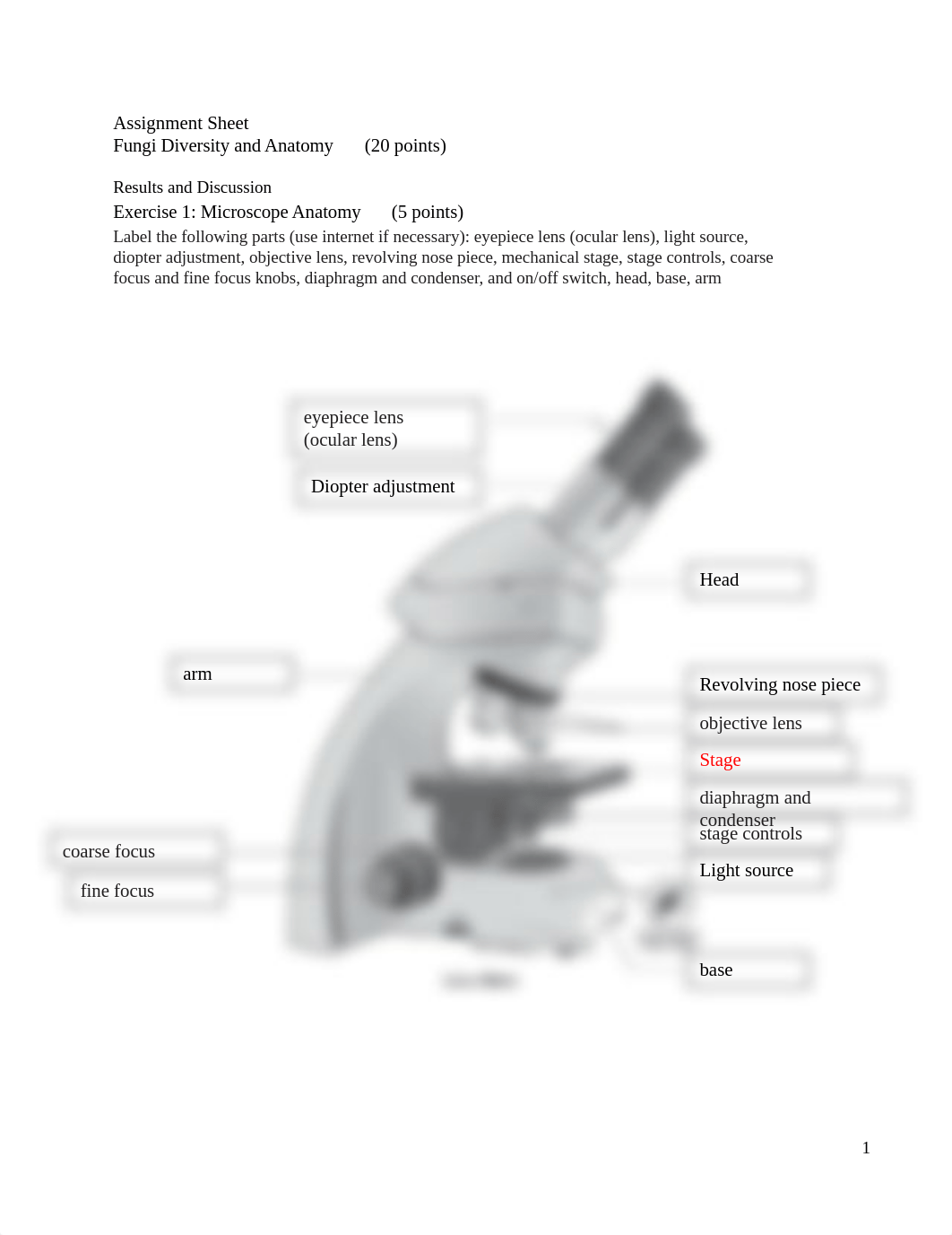 Lab04-Assignment-Fungi (wMicroscope)_DD2.docx_dxz8187j7nz_page1