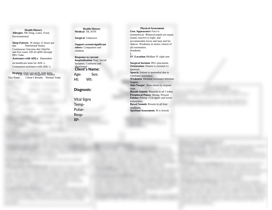 L.Y. Concept Care Map_dxzhkio86ax_page3