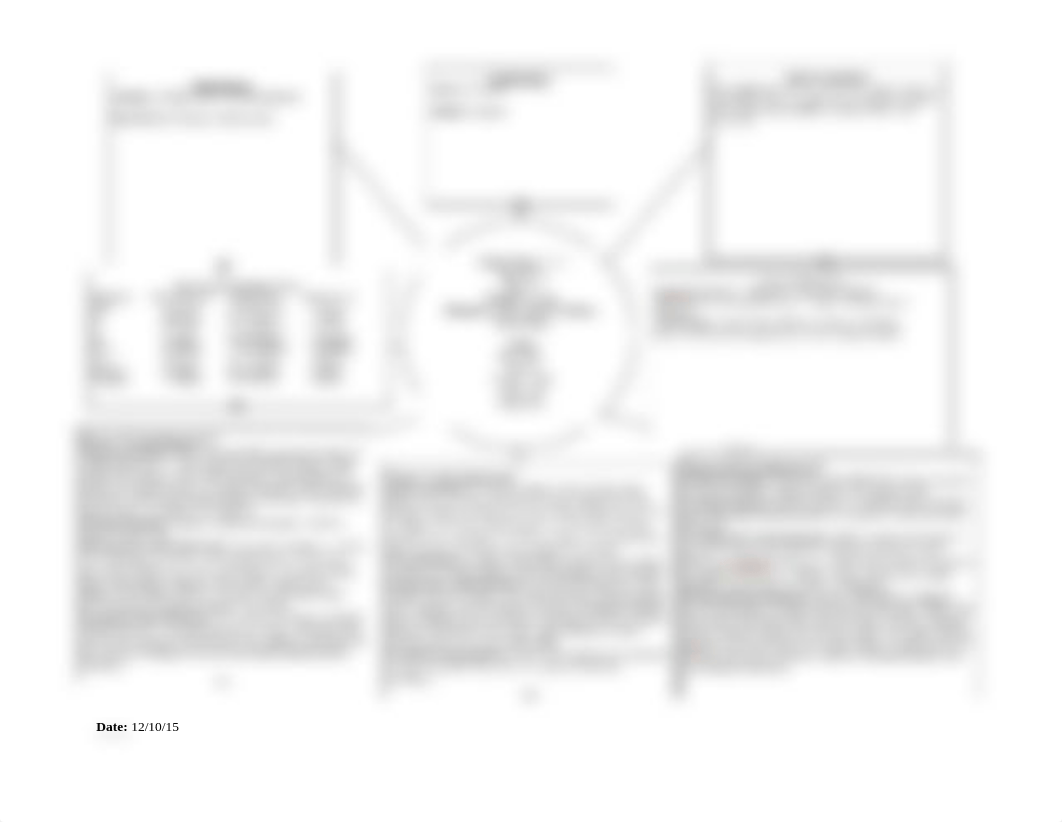 L.Y. Concept Care Map_dxzhkio86ax_page2