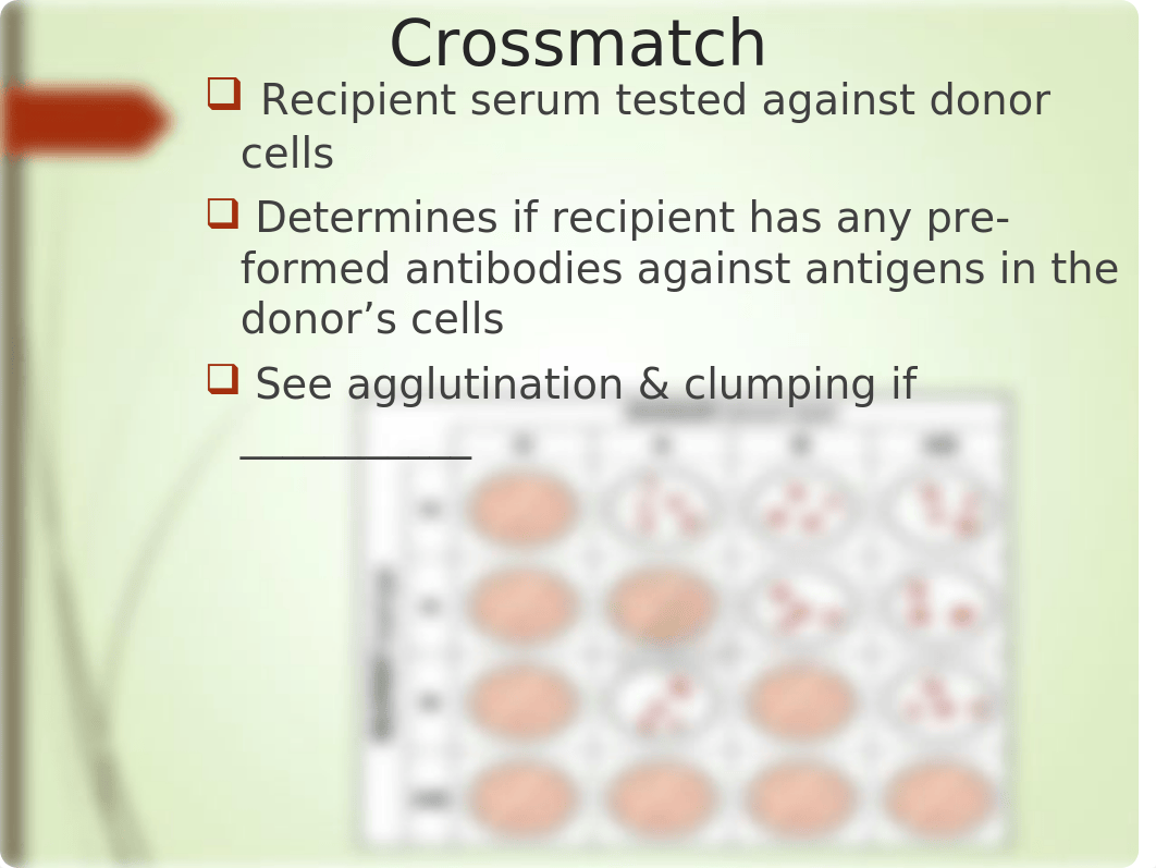 Blood Transfusion_MF_student handouts.pptx_dxzni7mezyu_page5