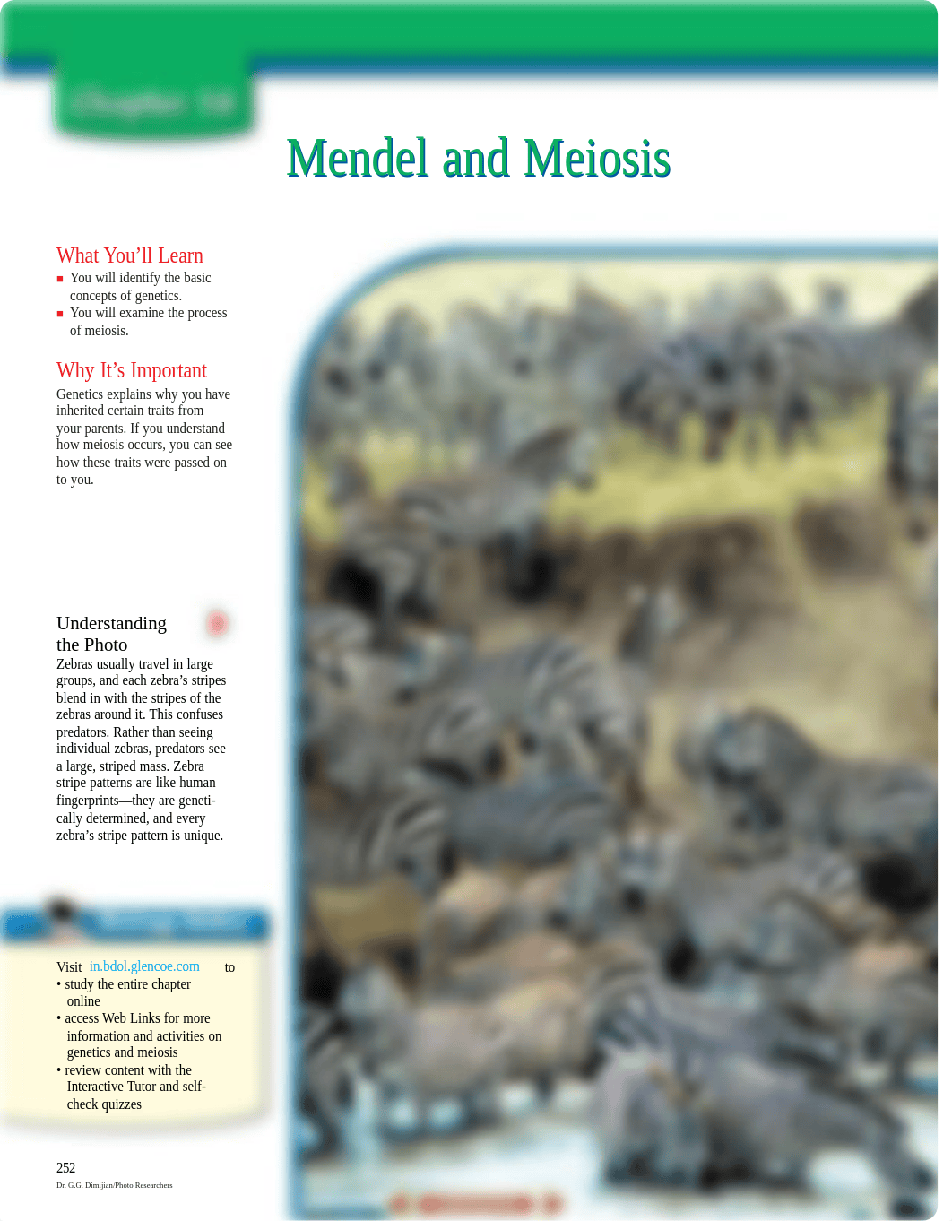 Genetics:Mendel:Meiosis.pdf_dxzxu3gd4dr_page3