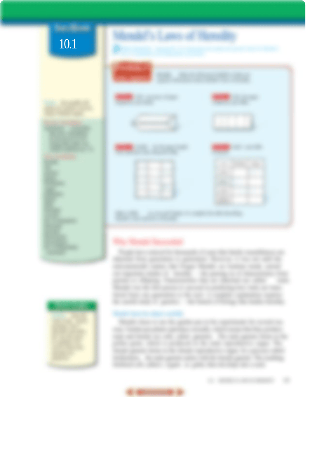 Genetics:Mendel:Meiosis.pdf_dxzxu3gd4dr_page4