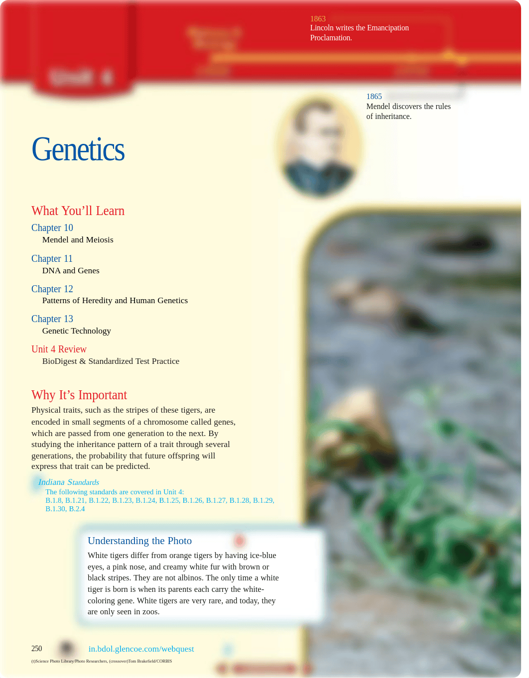 Genetics:Mendel:Meiosis.pdf_dxzxu3gd4dr_page1