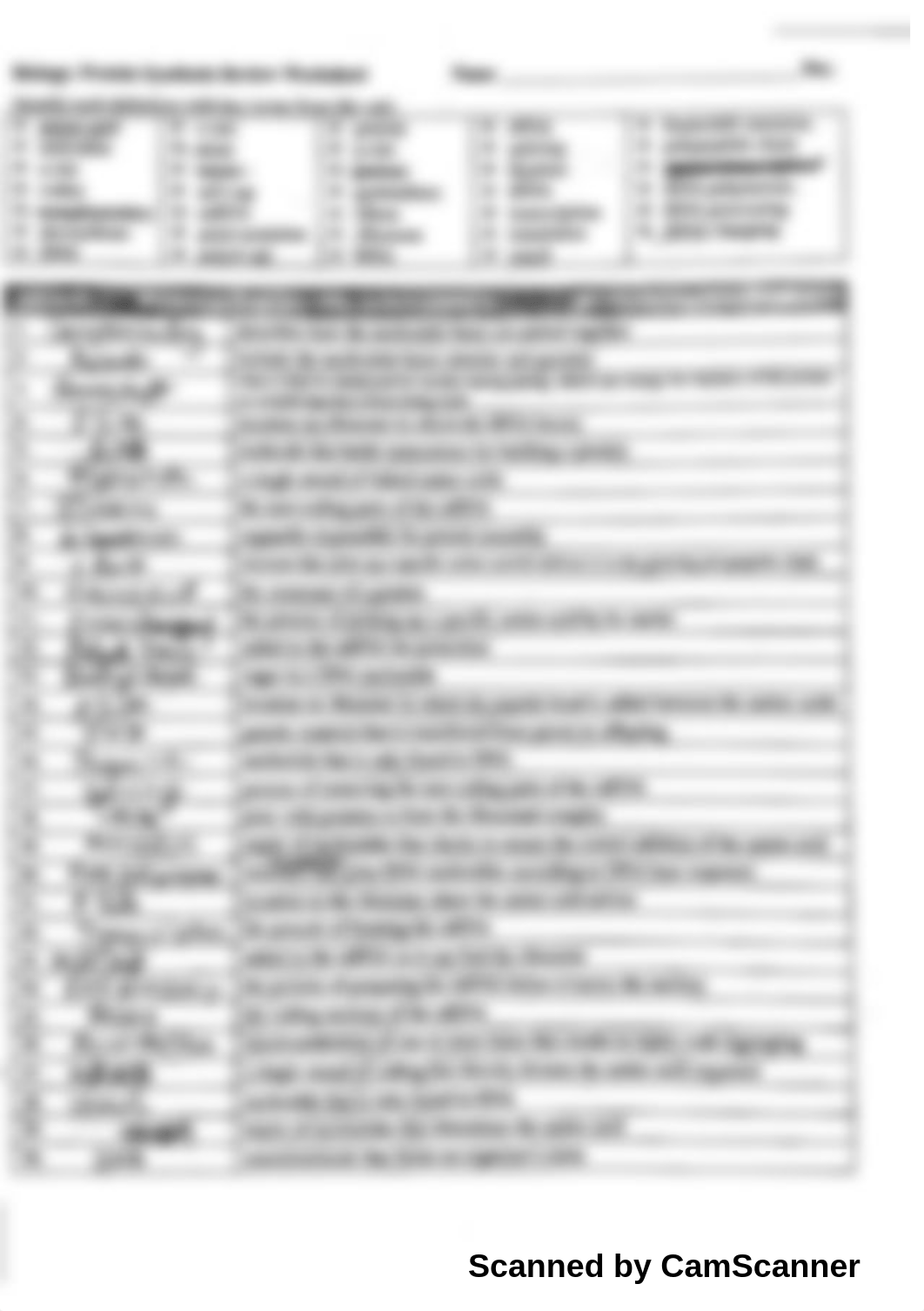 Dna and Protein synthesis worksheet answer key.pdf_dy02lwq49hg_page1