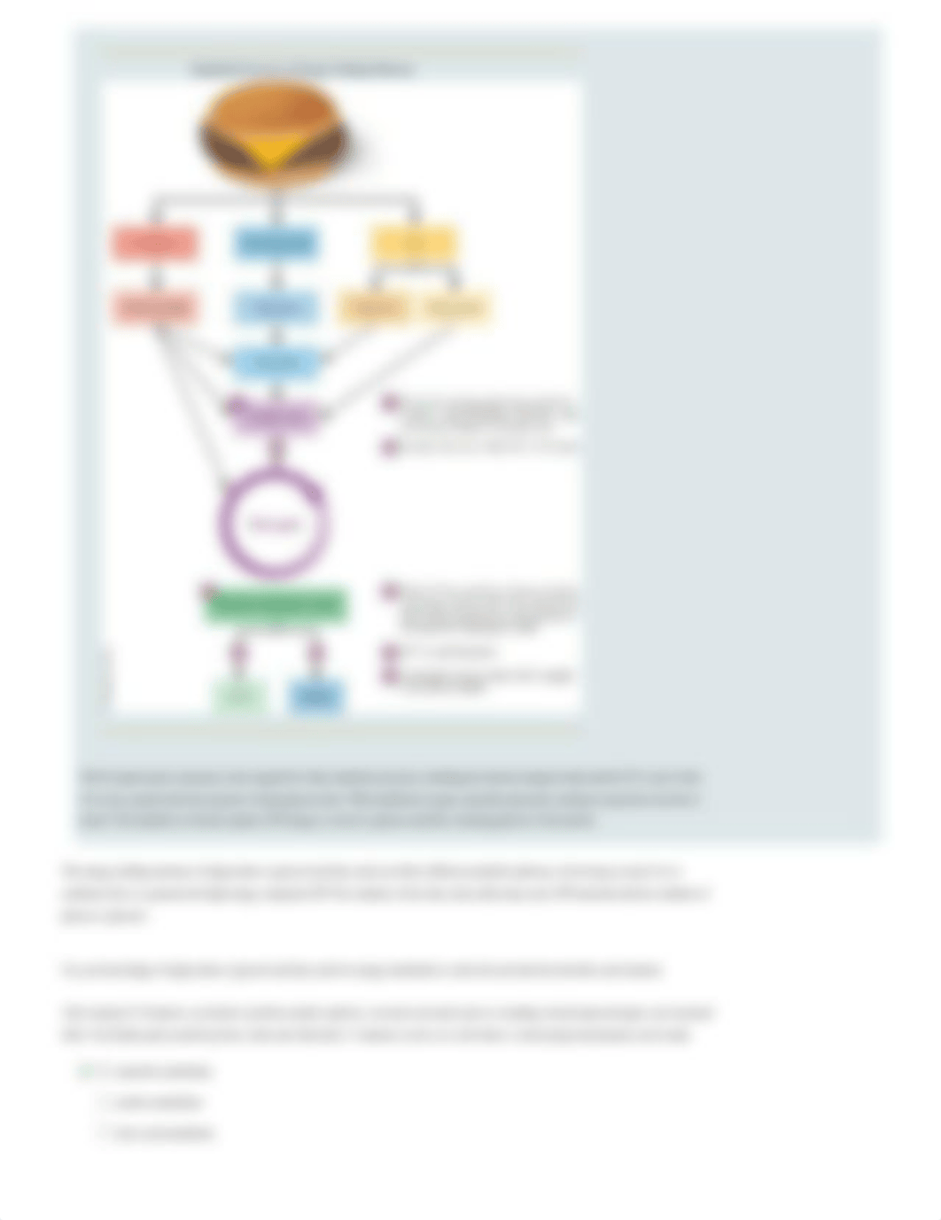 CH.7 Energy Metabolism Pathways.pdf_dy0cn4ggeif_page2