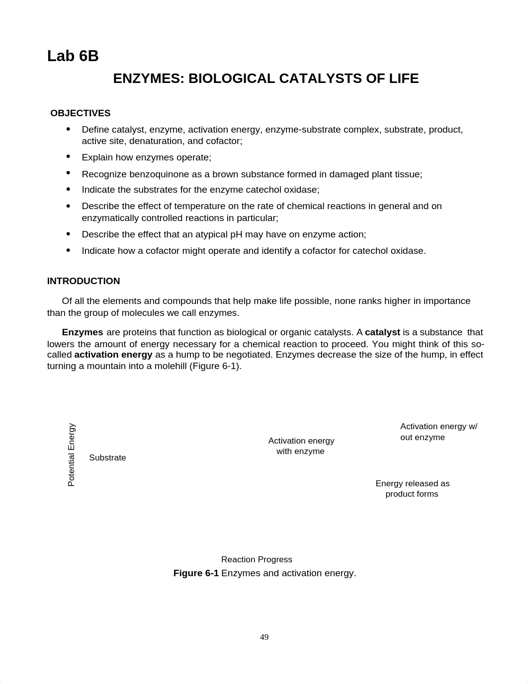 Lab 06B_Enzymes_ManualShara.pdf_dy0f7zbtmrx_page1