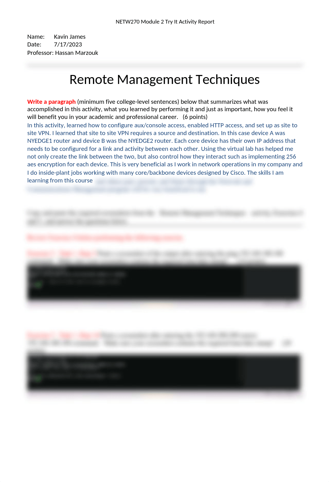 NETW270 Module 2 Try It Activity Report 0822.docx_dy0g9oqh7q3_page1