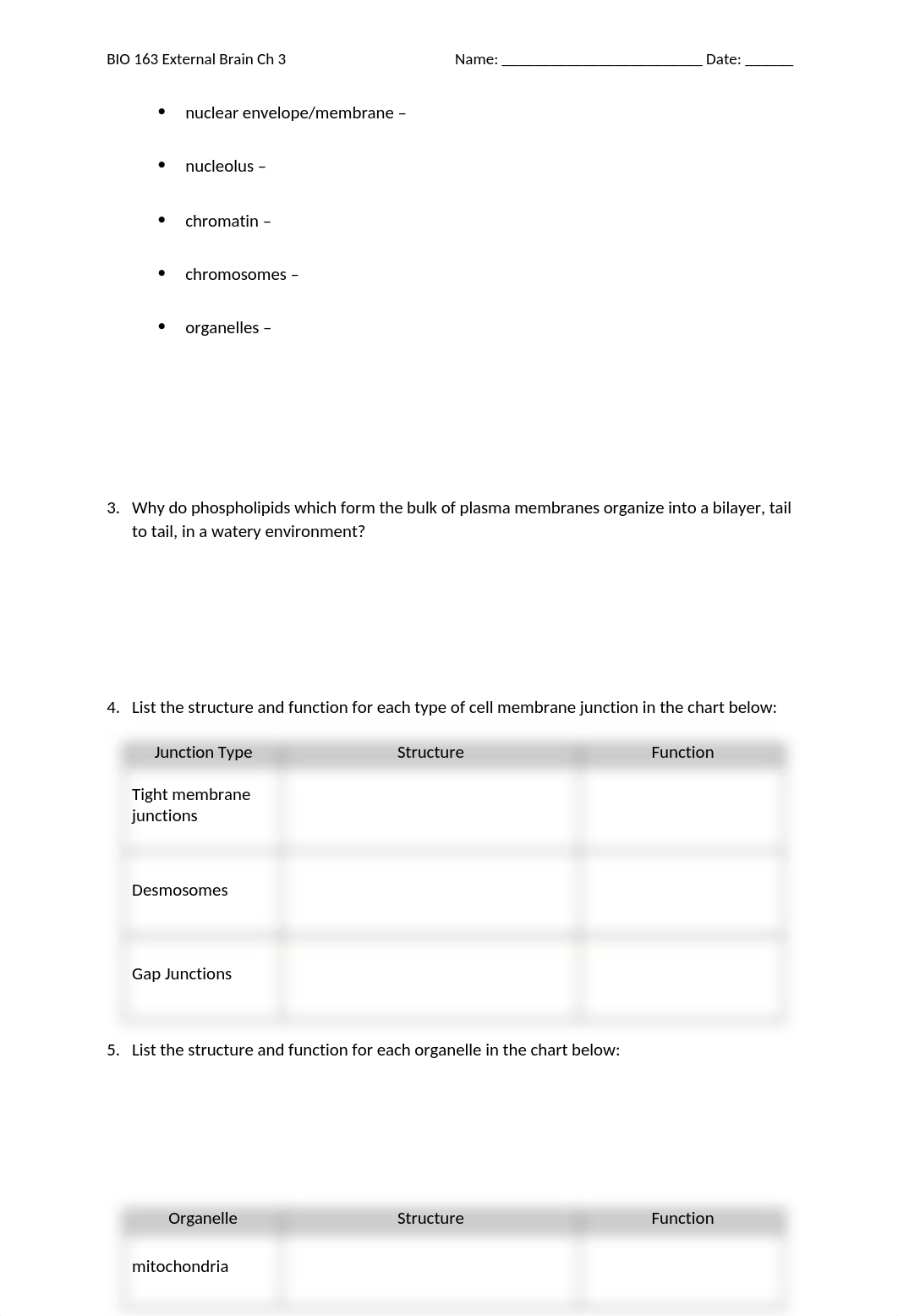 BIO 163 External Brain Chapter 3.docx_dy0s1xdj3zi_page2