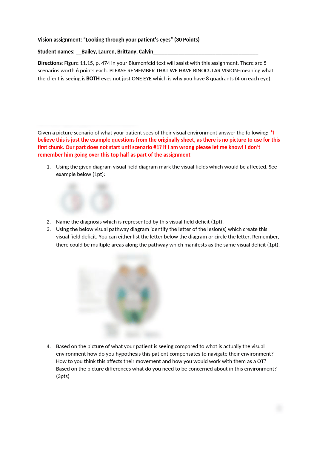 7. Visual Pathway Deficits_USA.docx_dy10uccg27c_page1