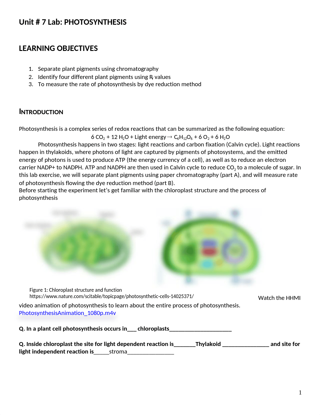 Unit-7 Lab(2) (1)-LAPTOP-IVSKUML1.docx_dy17pgrs7gd_page1