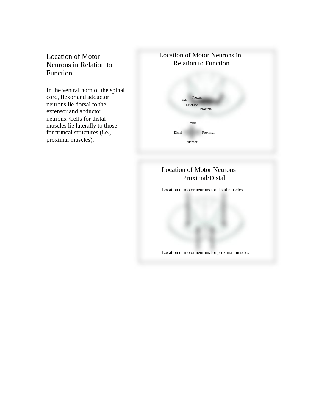 notes for motor lectures.pdf_dy17rqofrh8_page2