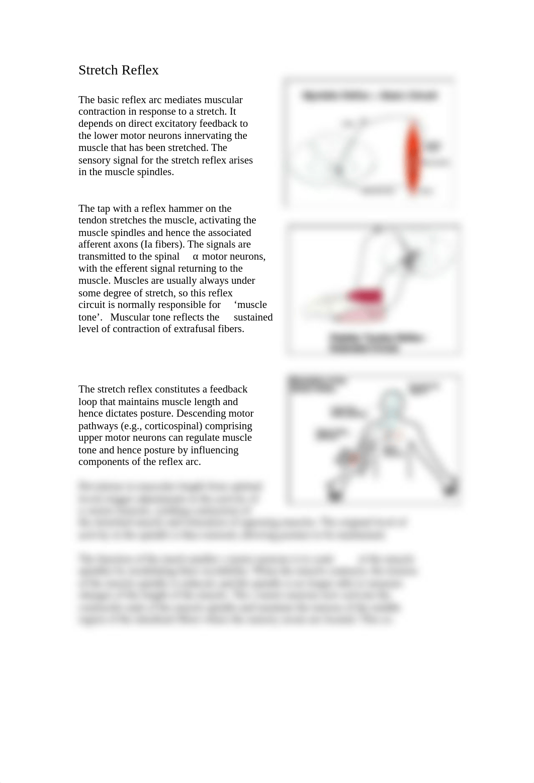 notes for motor lectures.pdf_dy17rqofrh8_page3